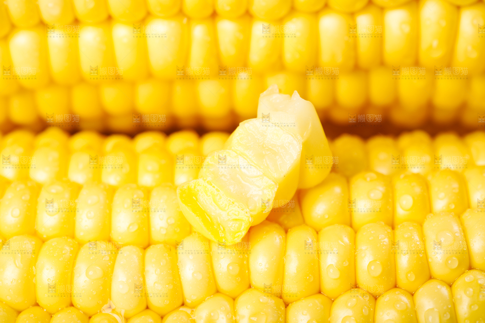 水果黄玉米
