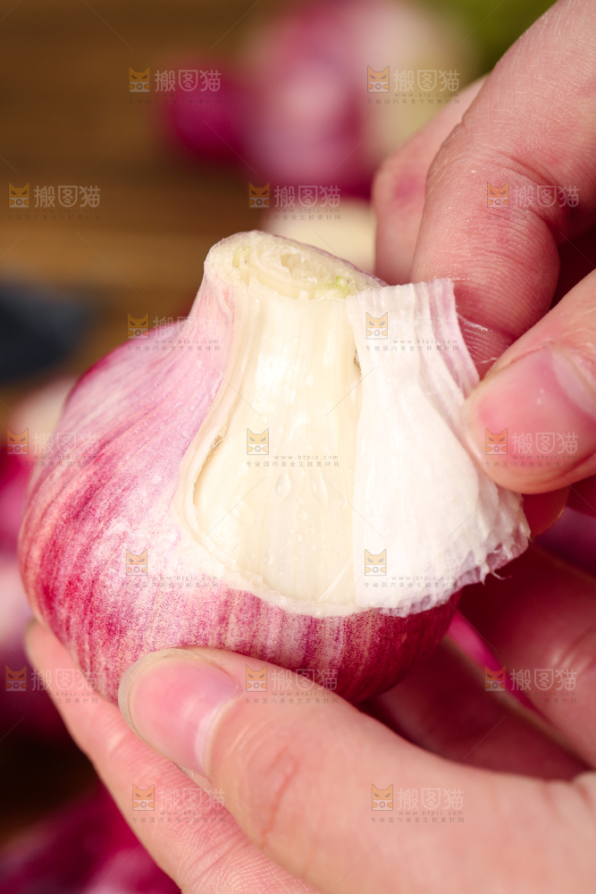 手里拿着紫皮多瓣蒜