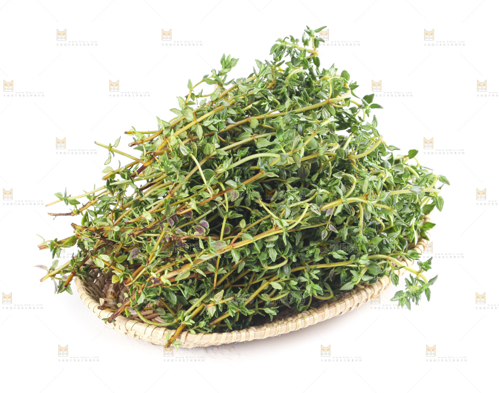 一盘麝香草放在白底上