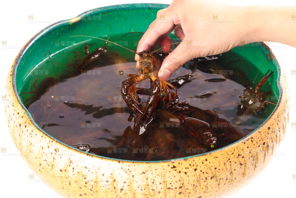 盆子里装着小龙虾