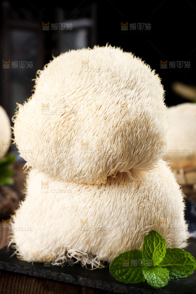 黑石板上的东北猴头菇