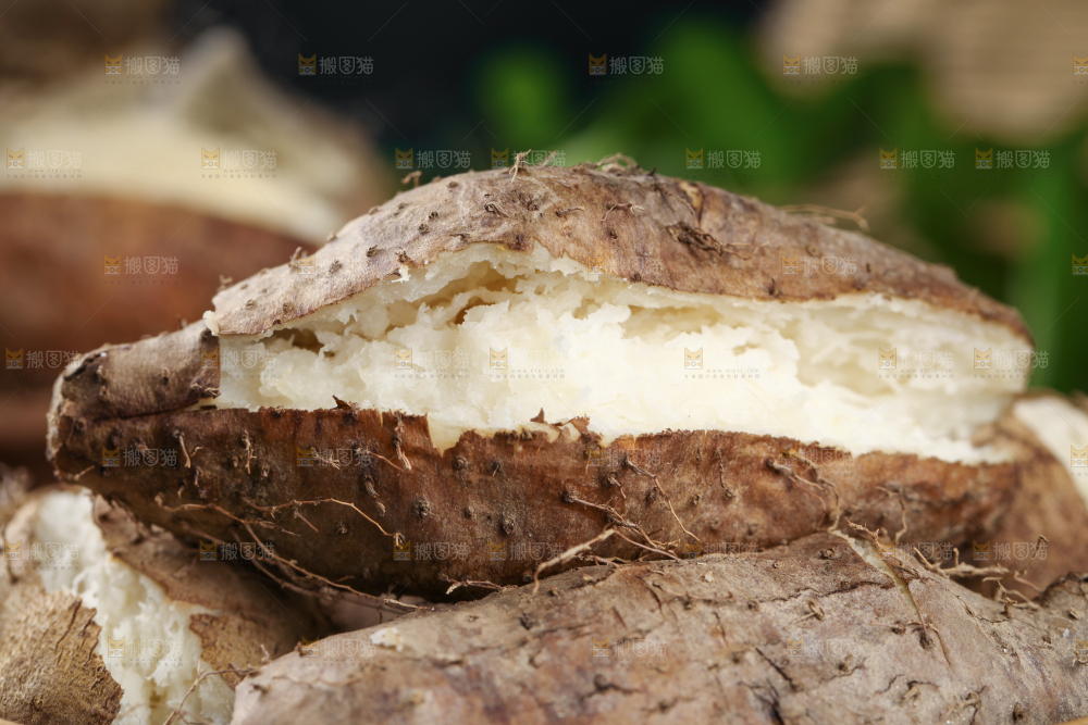 深底上放着熟的广东毛薯