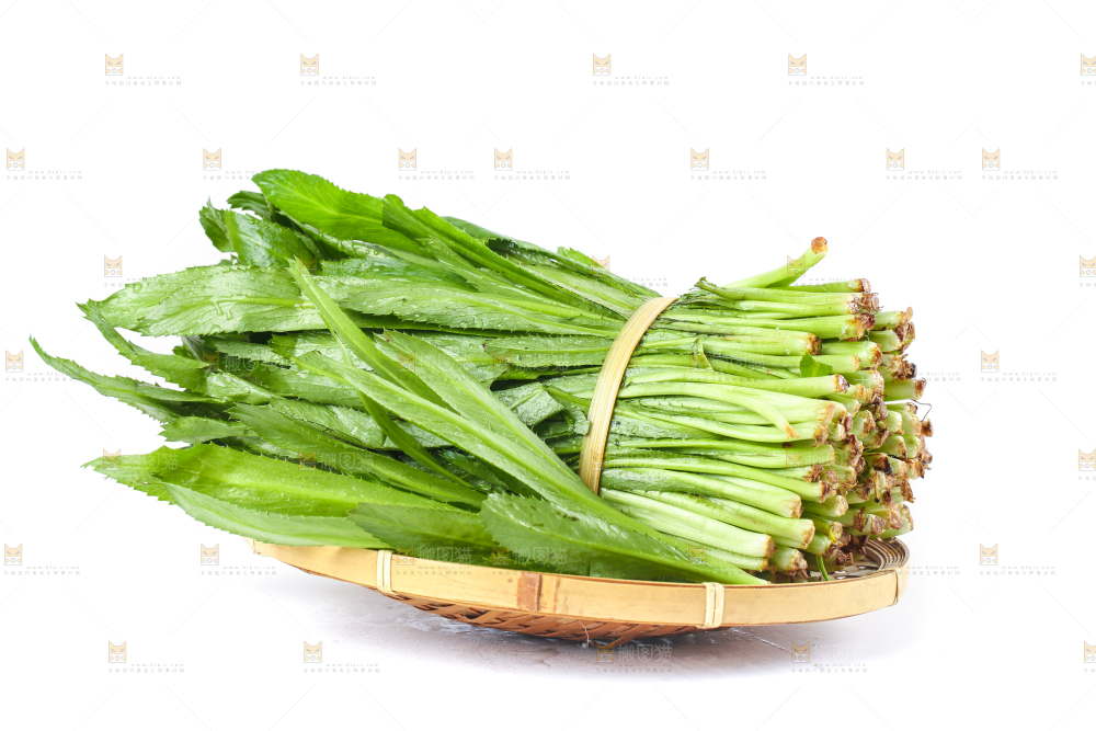 一盘云南大香菜放在白底上