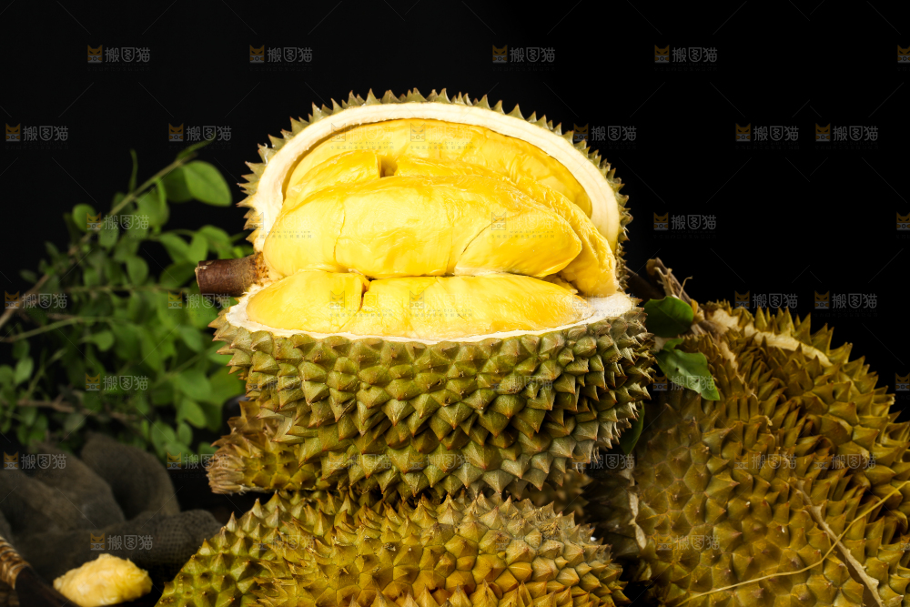 黑底上的进口甲仑榴莲
