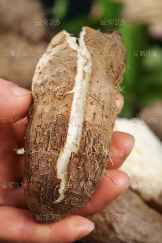 手拿熟毛薯