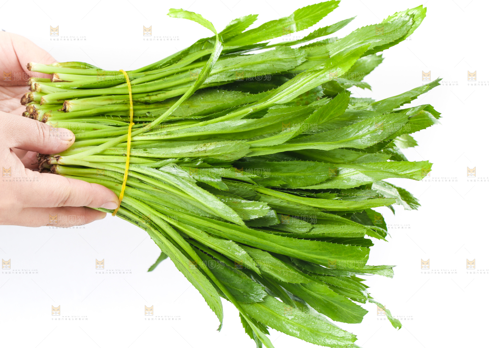 手拿云南大香菜