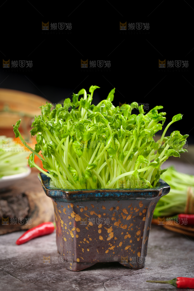 瓶子里装着芽菜