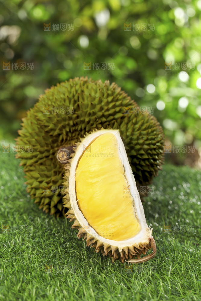 草地上摆放着甲仑榴莲