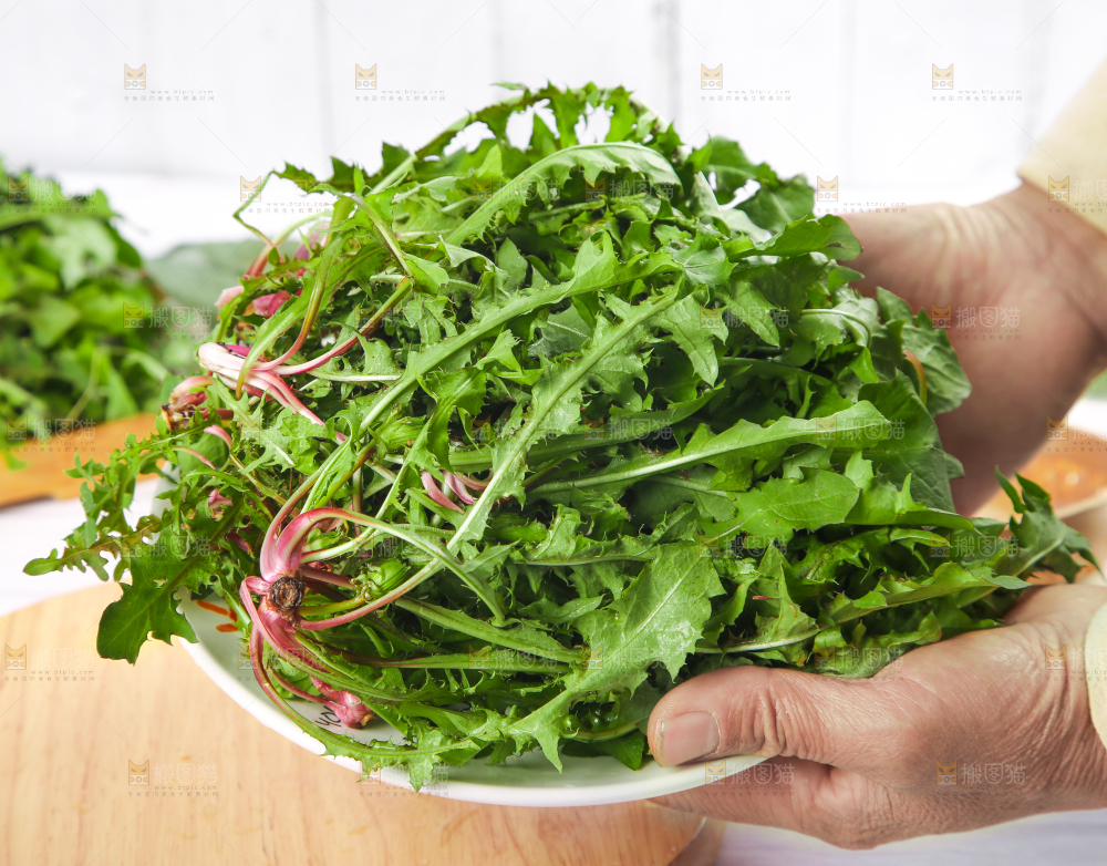 手拿一盘蒲公英
