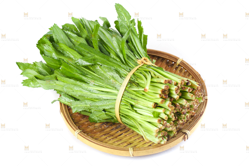 一盘云南大香菜放在白底上