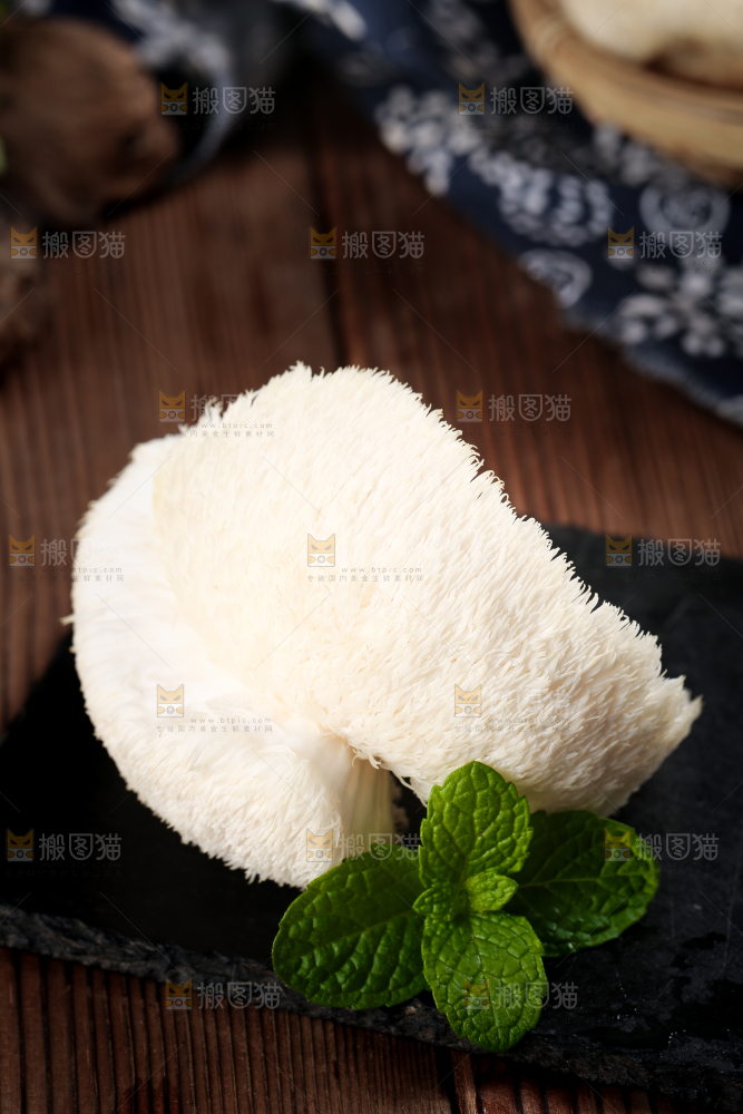 黑底上的猴头菇