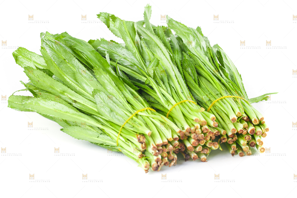 白底上的大香菜