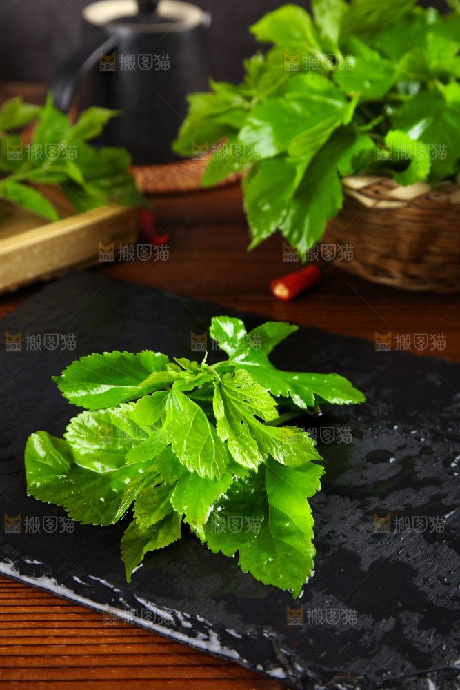黑石板上放着新鲜桑叶