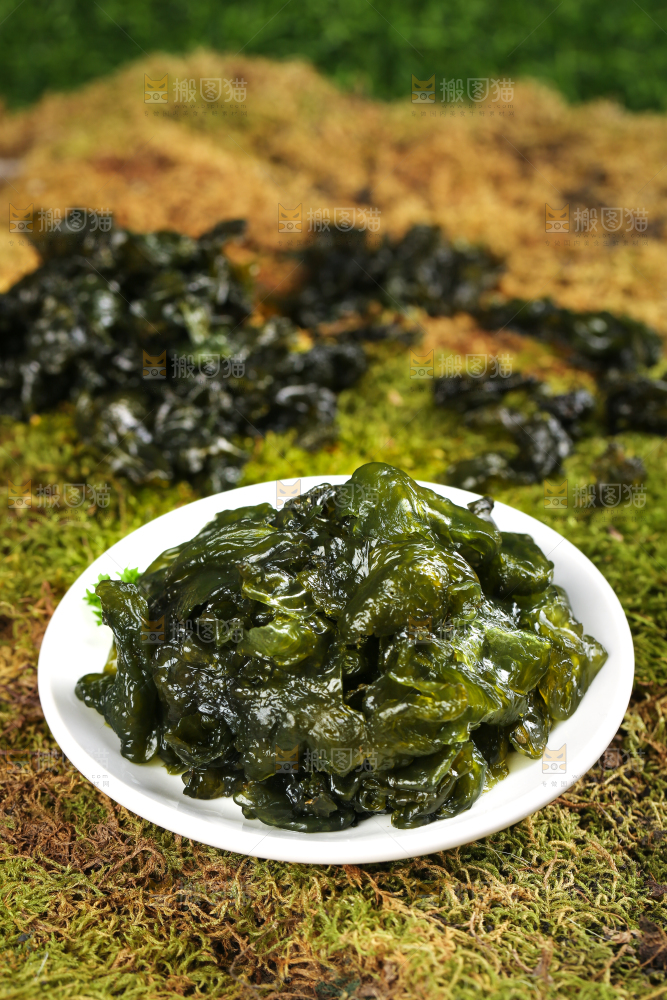 盘子里装着雷公菌