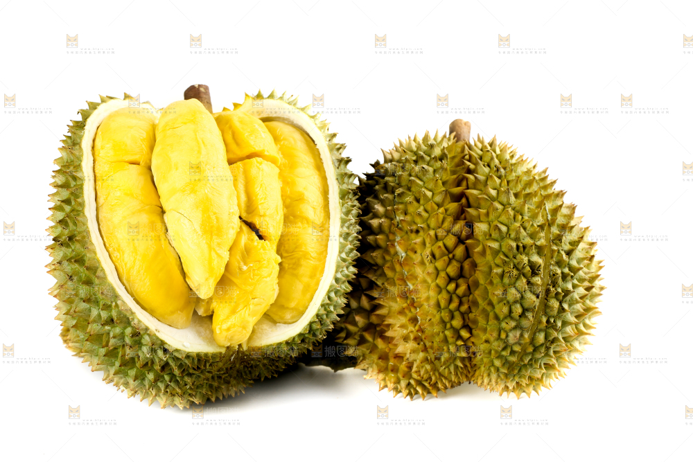 白底上摆放着甲仑榴莲