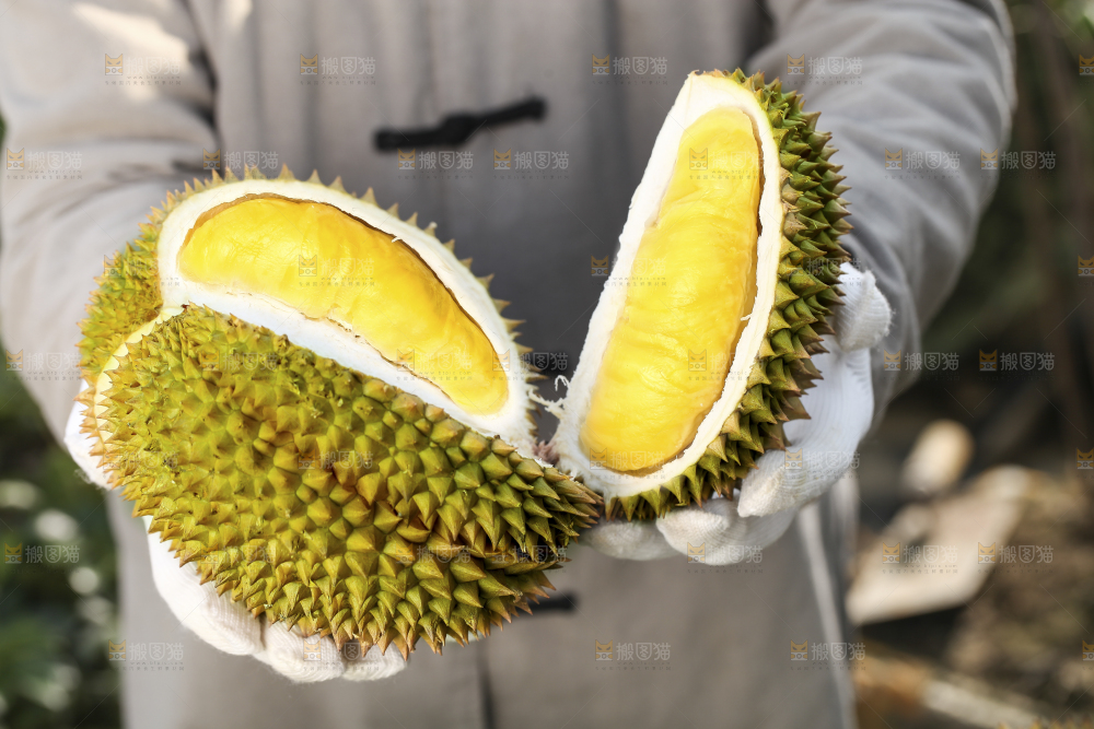 手里拿着新鲜榴莲