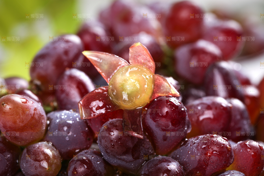 深底上的郁金香葡萄