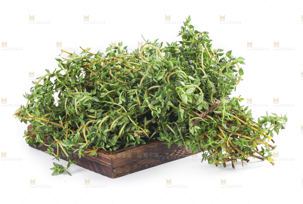 一盘香草放在白底上