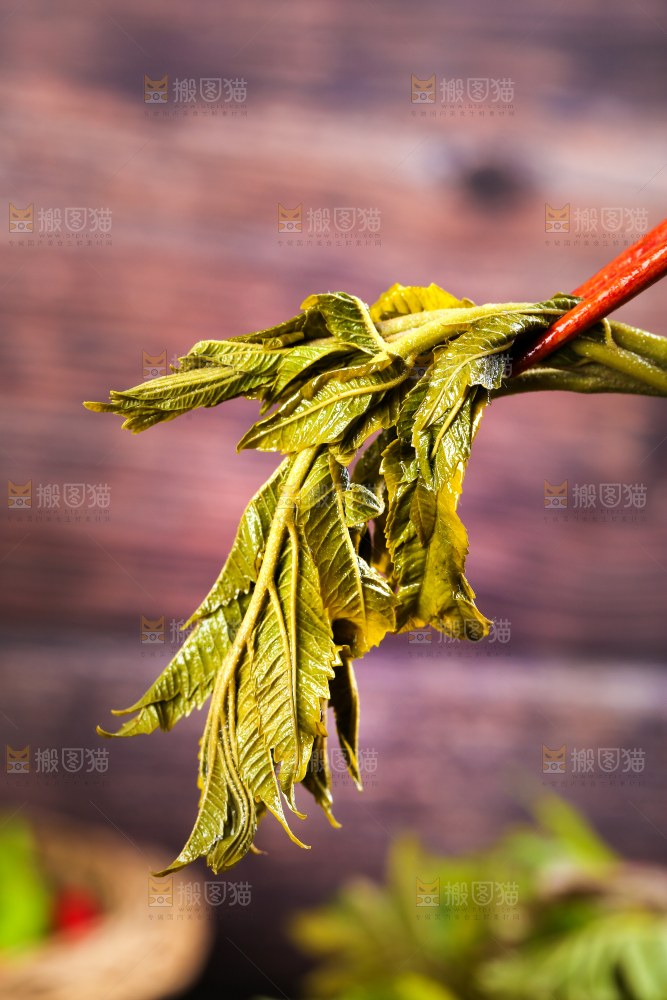 筷子夹着新鲜香椿芽