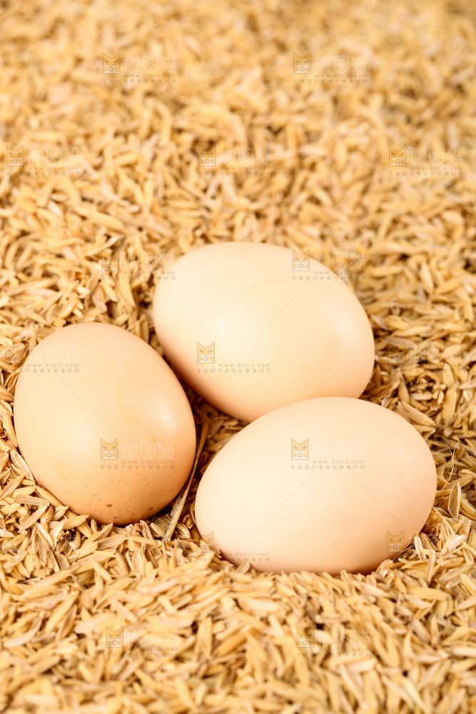 谷壳上放着土鸡蛋