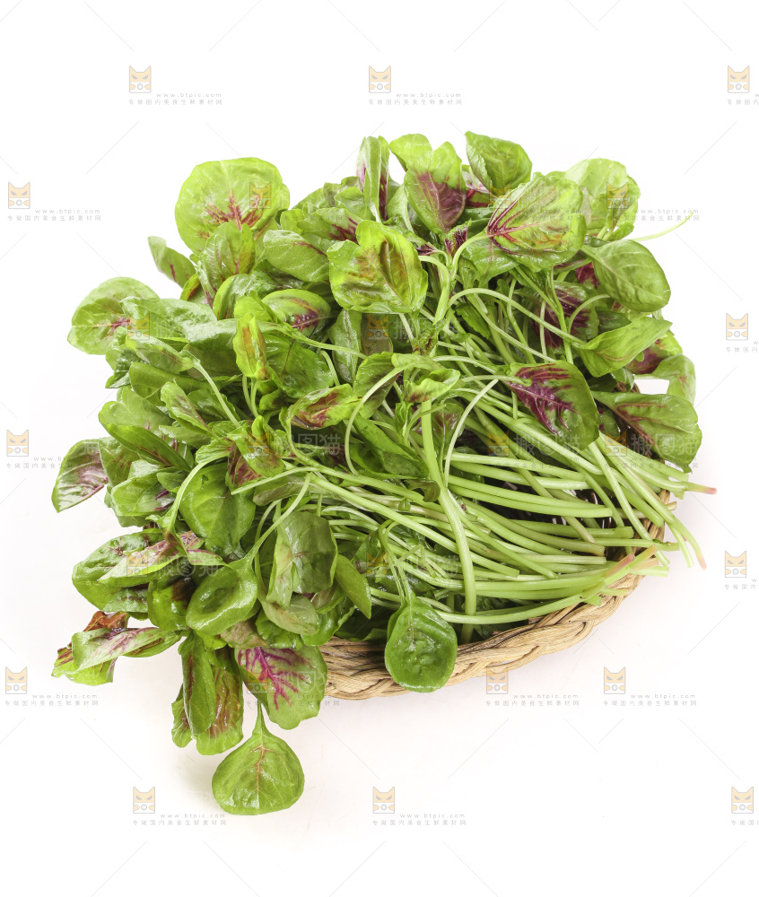 一筐红苋菜放在白底上