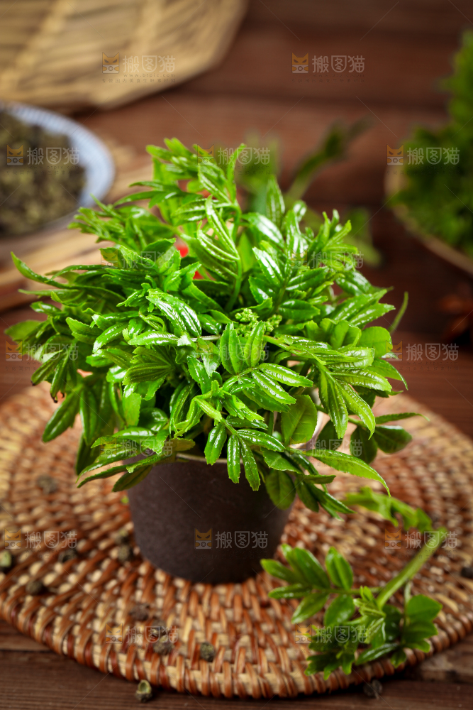一桶新鲜的花椒芽放在木底上