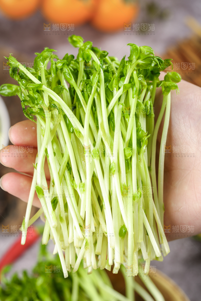 篮子里的豌豆芽苗菜
