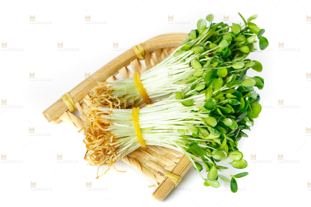 白底上的香椿芽