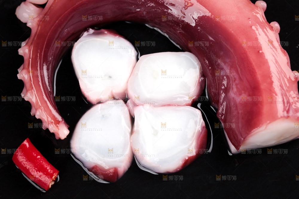 黑石板上的大鱿鱼