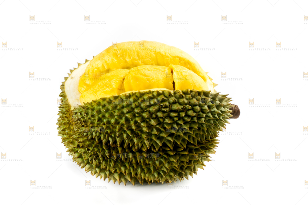白底上摆放着甲仑榴莲