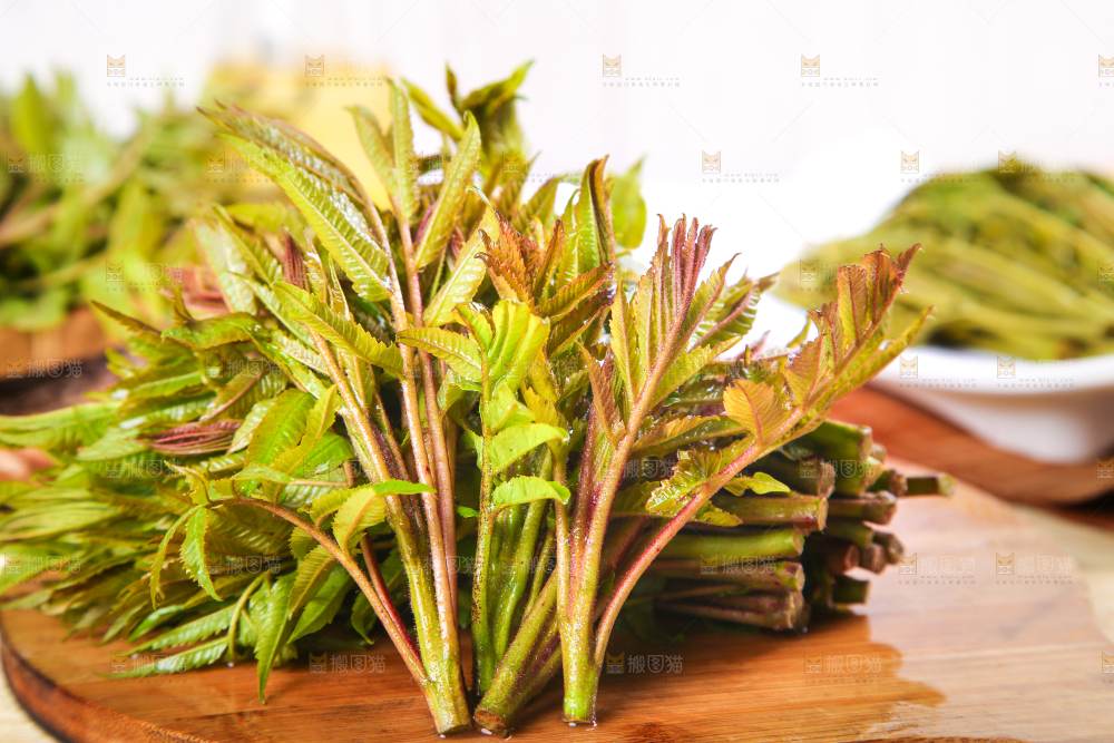 木板上的香椿芽