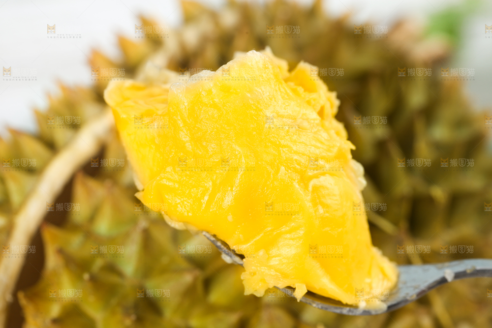 叉子上叉着榴莲果肉