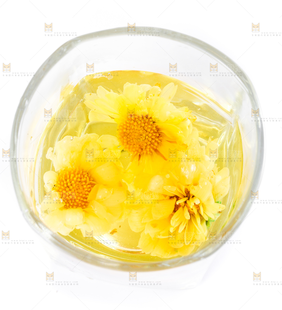 一杯菊花茶放在白底上