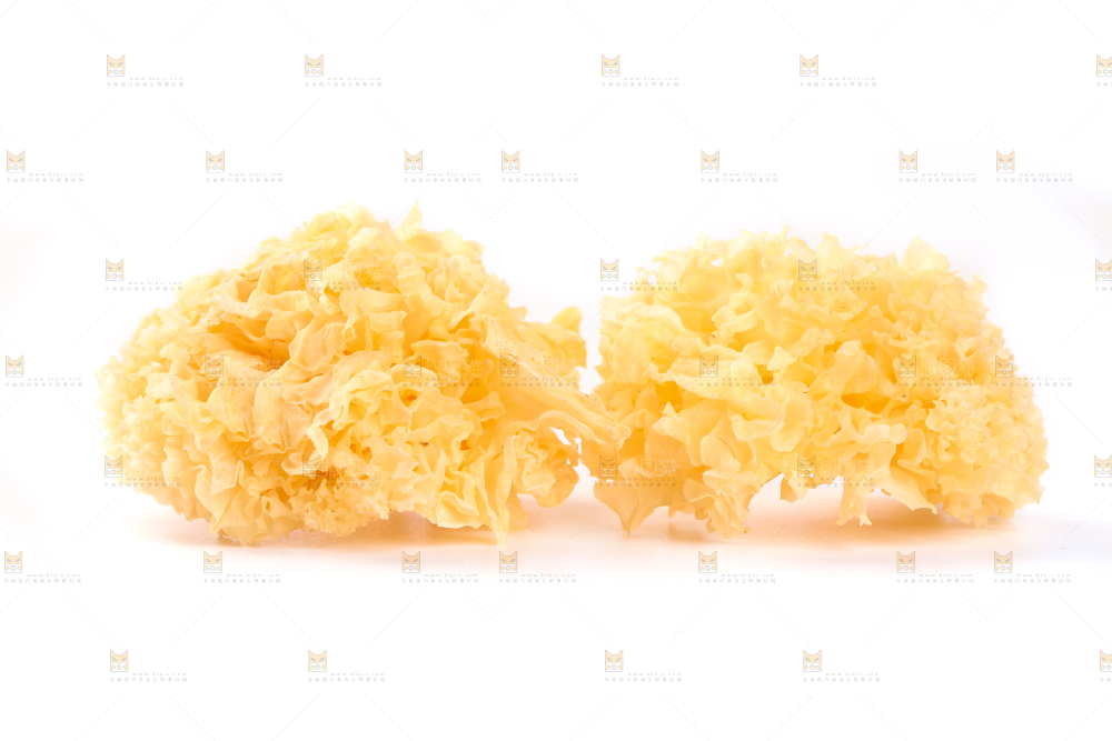 白底上的雪银耳