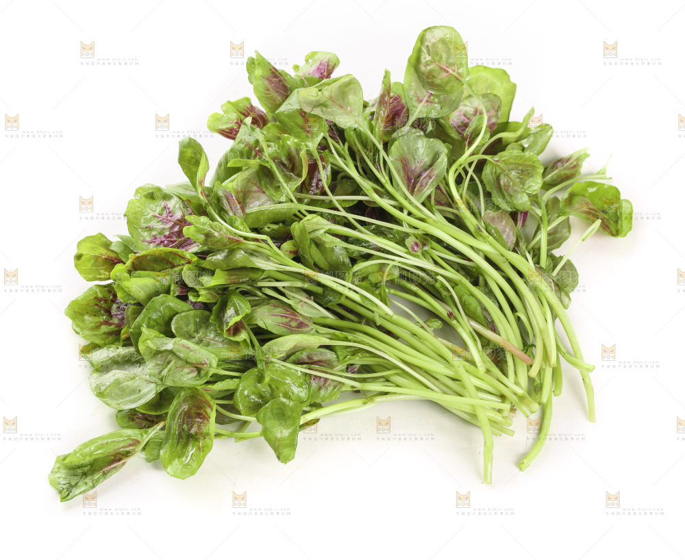 白底上的农家苋菜