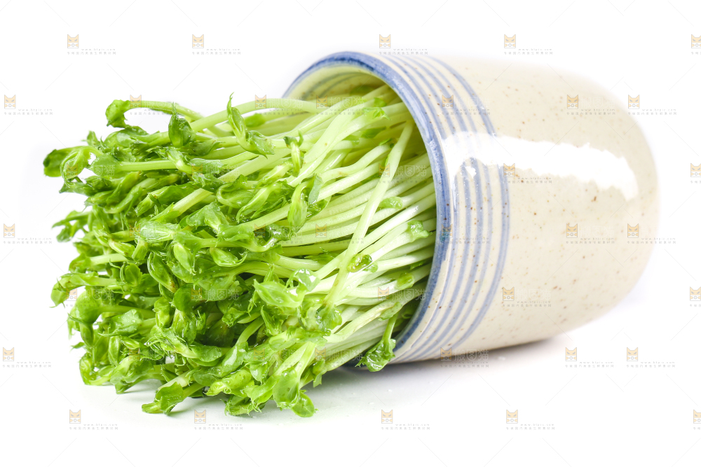 白底上放着豌豆芽菜