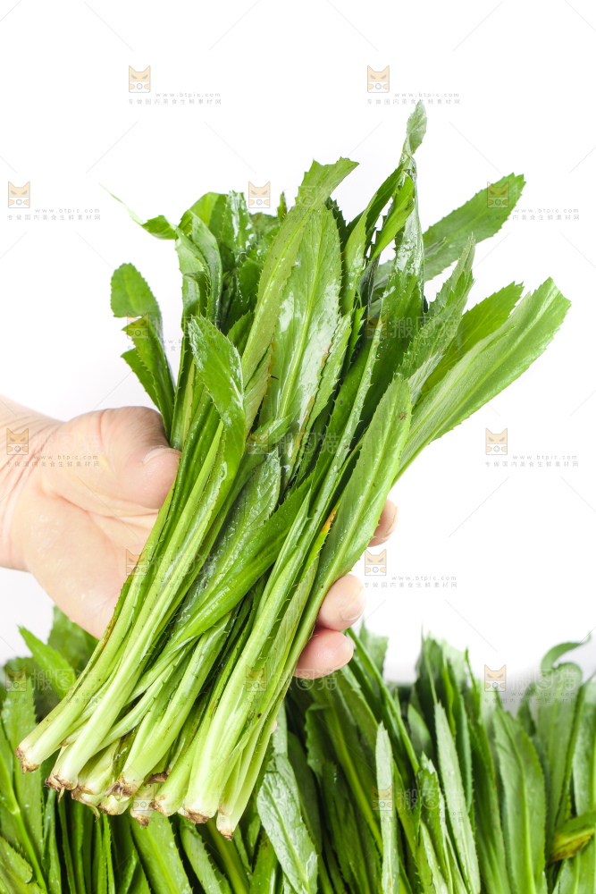 手拿云南大香菜