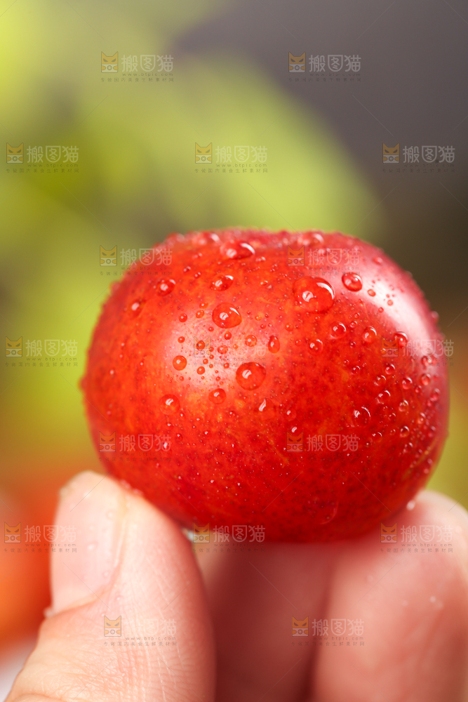 手里拿着新鲜李子