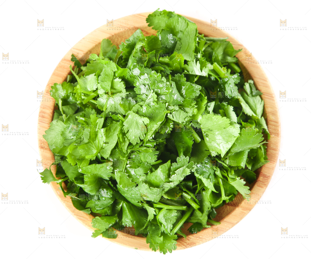 一盘香菜叶放在白底上