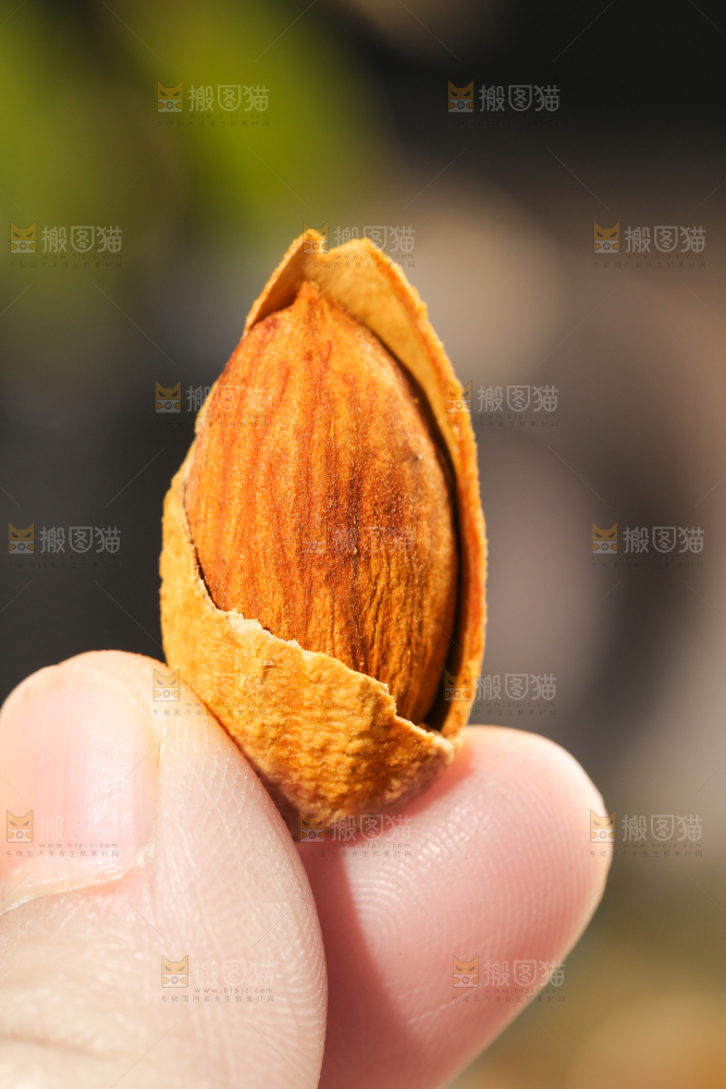 手拿巴旦木