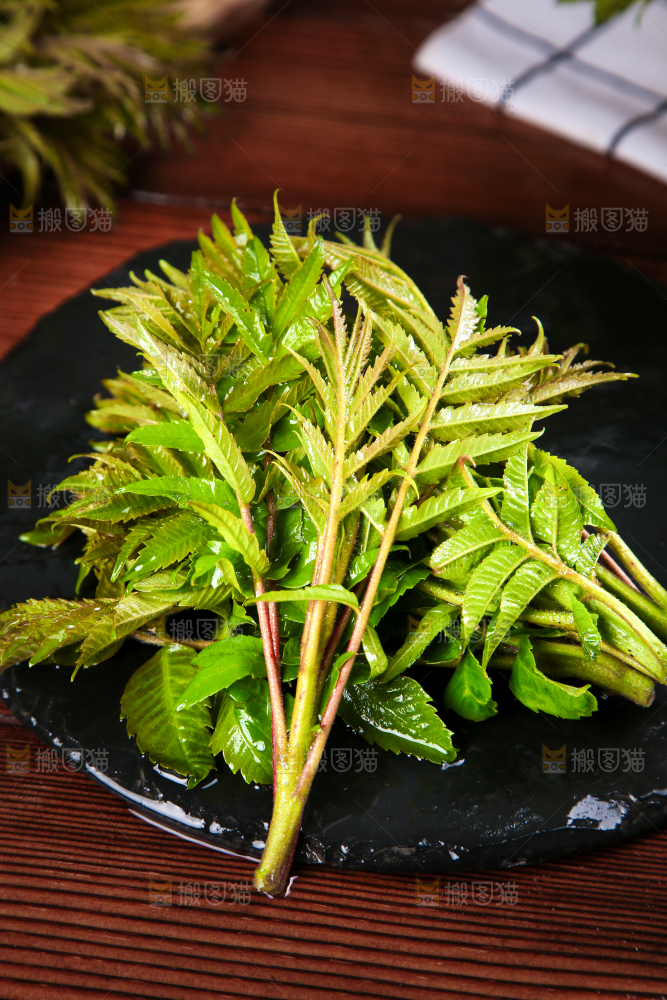黑石板上的山东香椿芽