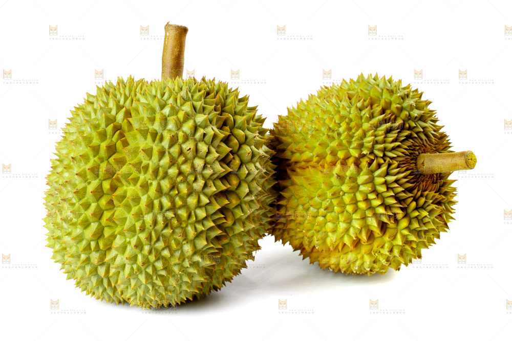 白底上的新鲜榴莲