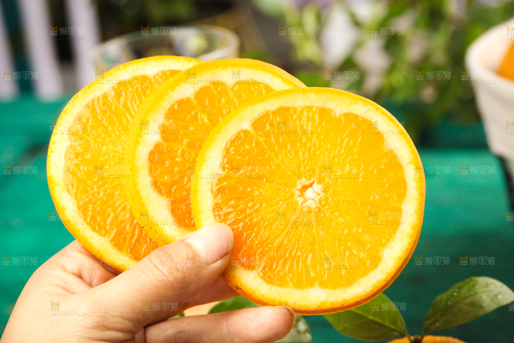 手里拿着新鲜胡柚