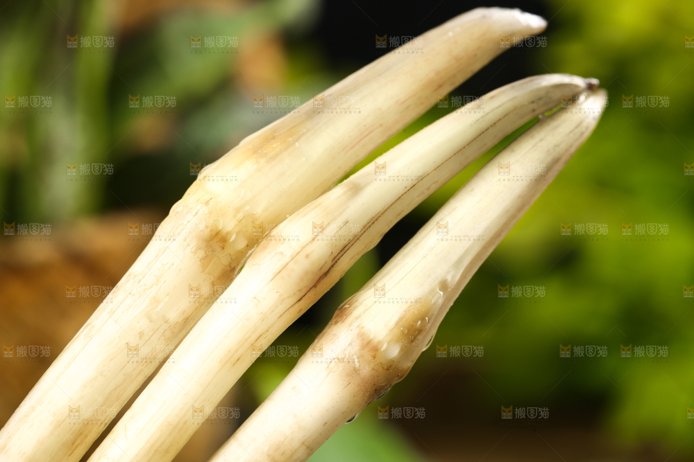 荷叶上放着洪湖藕带