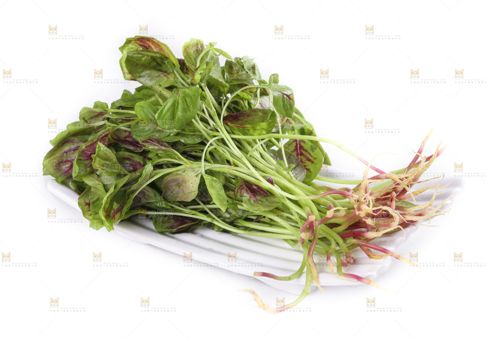 一盘农家苋菜放在白底上