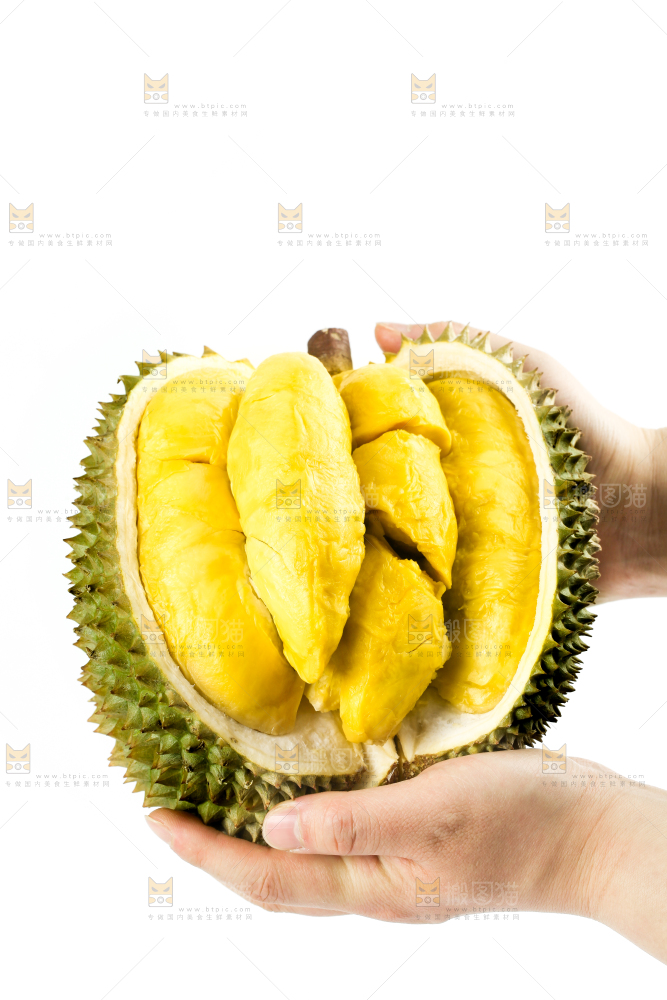 白底上摆放着甲仑榴莲