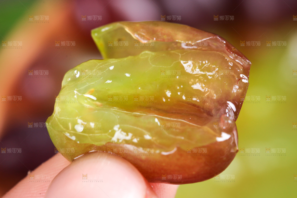 深底上的郁金香葡萄