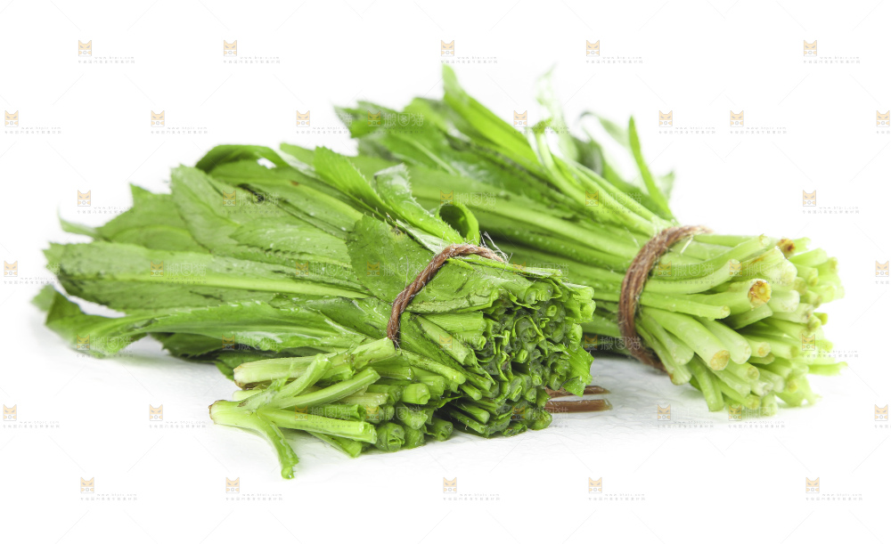 切开的刺香菜放在白底上