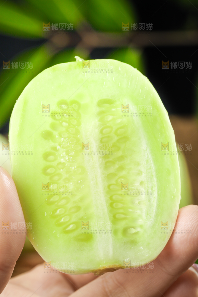 手拿切开的玉女黄瓜