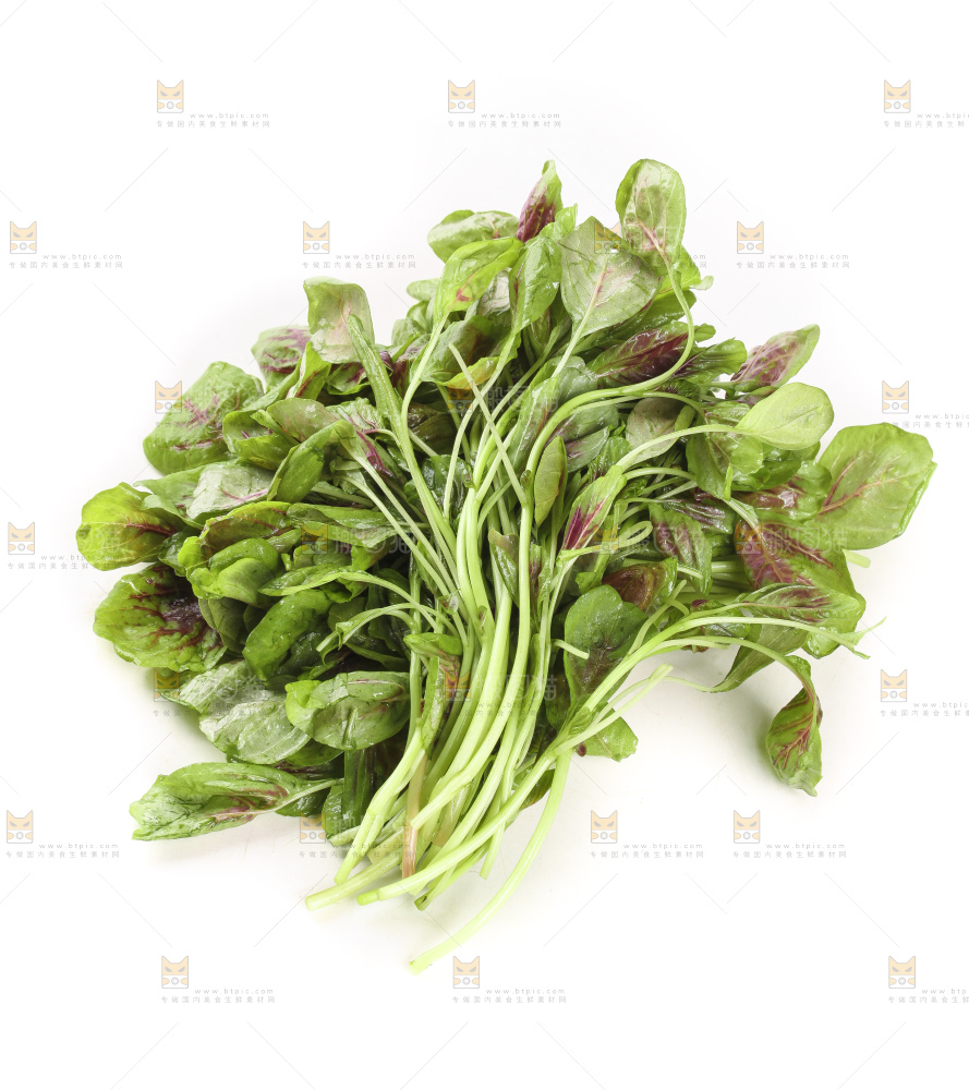 白底上的农家苋菜